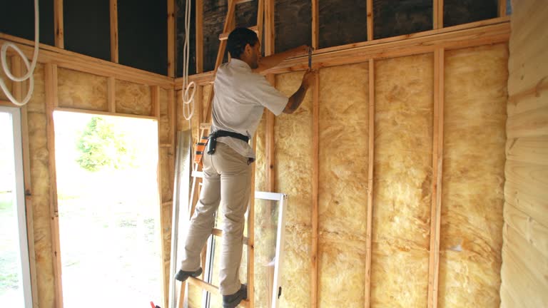 Best Batt and Roll Insulation  in USA